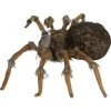 Halloween Express Deluxe Lightup Wolf Spider Halloween Decoration - Size 53 in - Brown