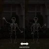 Spooky Town 32In Pro-Line Animotion Skeleton Halloween Decoration, 80 Led Lights