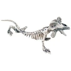 Sunstar Industries Sunstar Skeleton Lizard Halloween Decoration - 5.7 in x 16.9 in - White