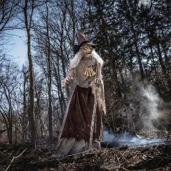 Seasonal Visions Animated Witch Servo-Motor Halloween Decoration - - Black