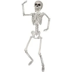 Sunstar Industries Sunstar Skeleton Prop Halloween Decoration - 24 in - White