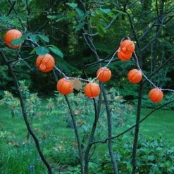 Lumabase 10ct 3" Electric String Light with Nylon Lanterns Orange