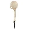 Seasons USA Inc Seasons USA Skull in Hand Ground Breaker Halloween Decoration - 6 in x 7 in x 14.5 in - White